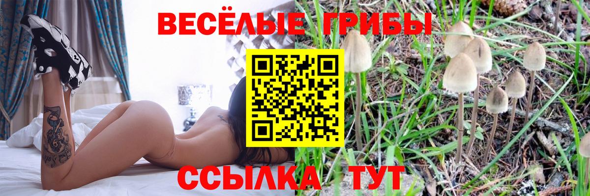 Псилоцибиновые грибы GOLDEN TEACHER Гусиноозёрск